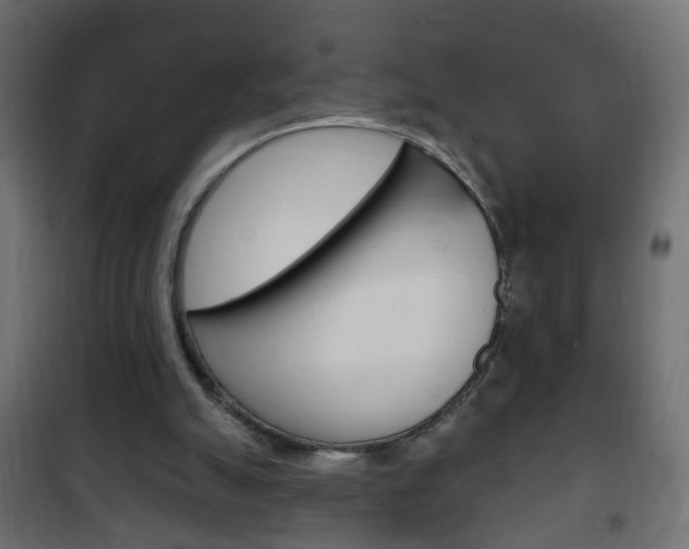X0000102460055200808080955