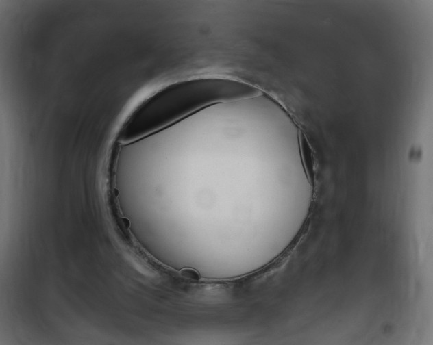 X0000102460056200808080955