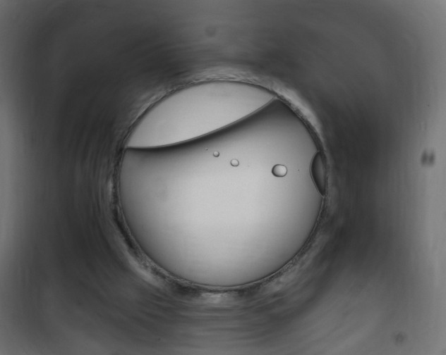 X0000102460057200808080955