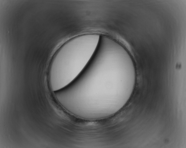 X0000102460059200808080955