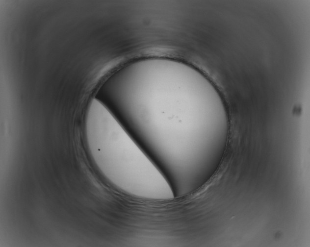 X0000102460062200808080955