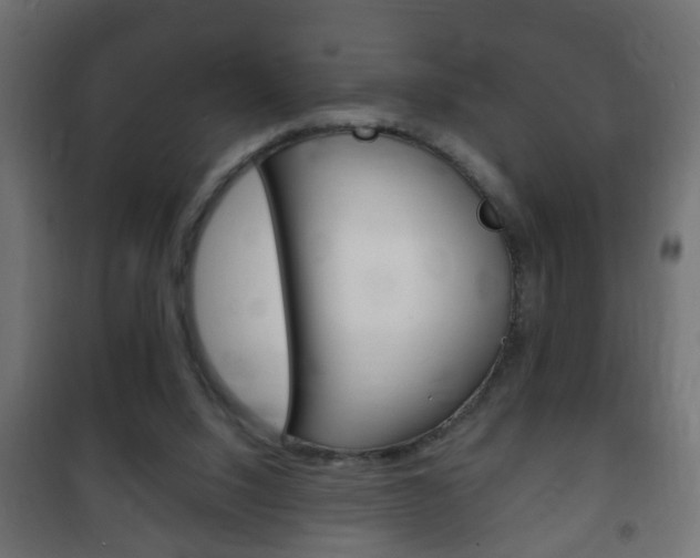 X0000102460064200808080955