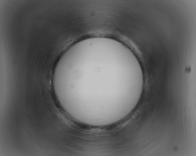 X0000102460065200808080955