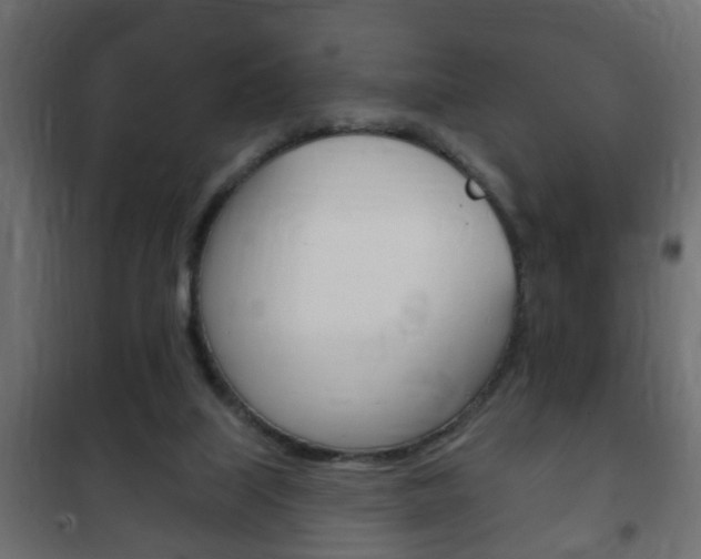 X0000102460067200808080955