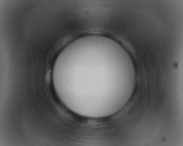 X0000102460070200808080955