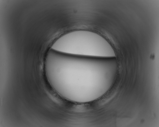 X0000102460072200808080955