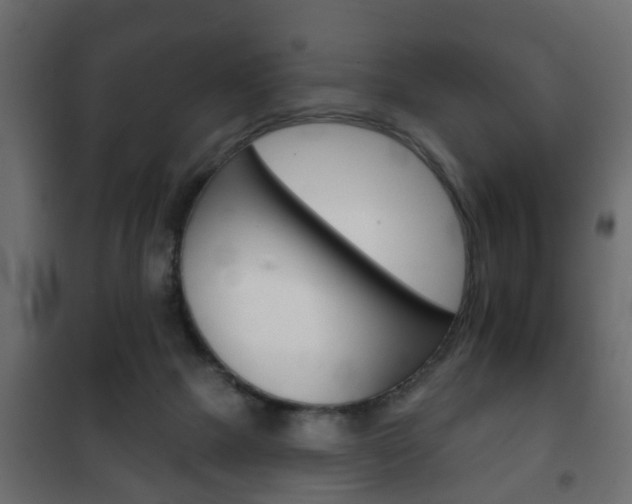 X0000102460073200808080955