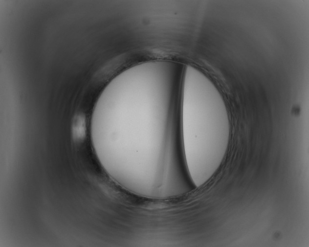 X0000102460075200808080955
