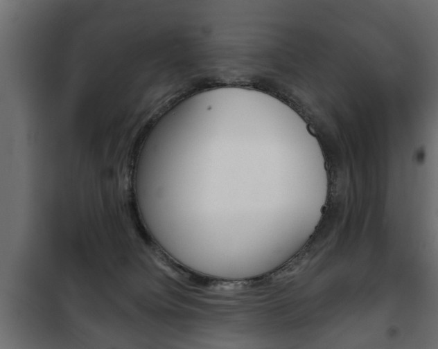 X0000102460084200808080955