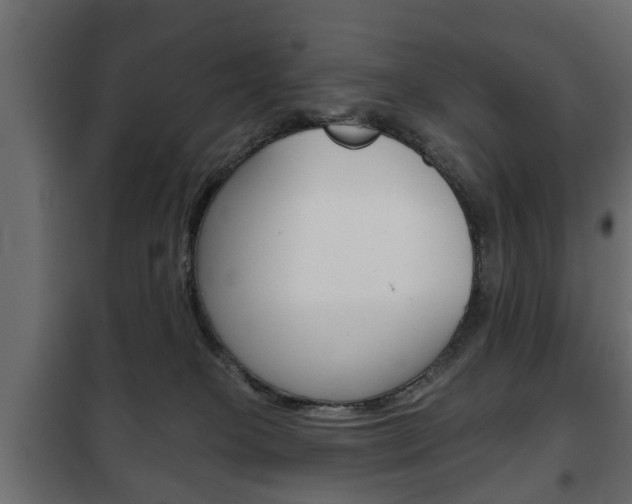 X0000102460085200808080955