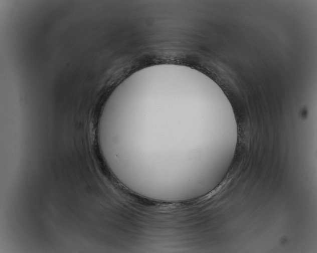 X0000102460086200808080955