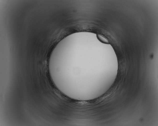 X0000102460087200808080955