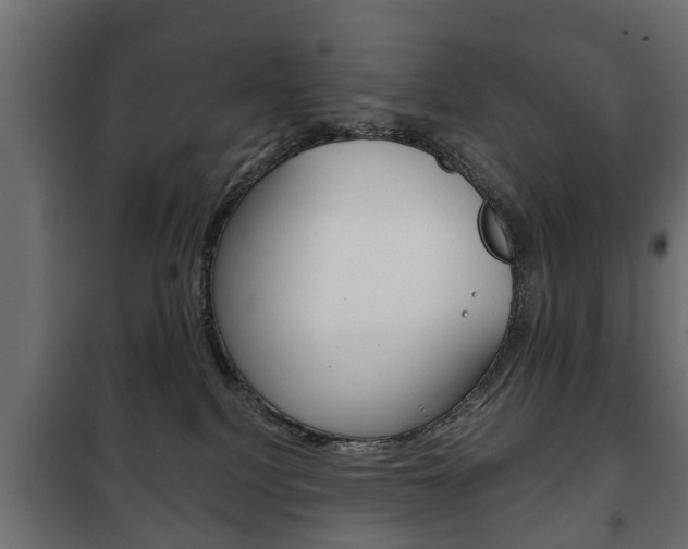 X0000102460088200808080955