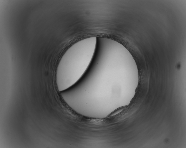 X0000102460089200808080955