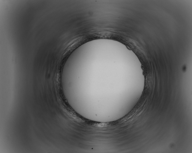 X0000102460092200808080955