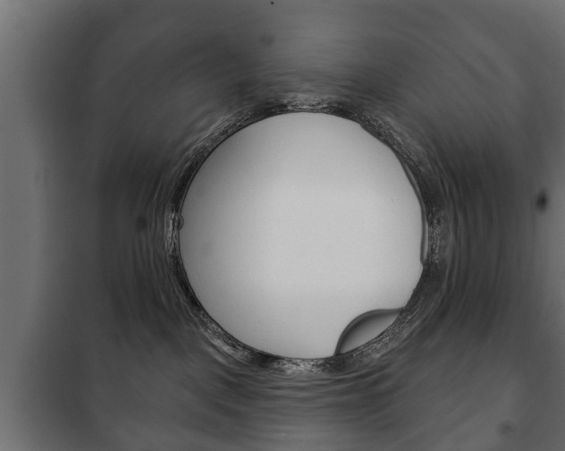 X0000102460093200808080955