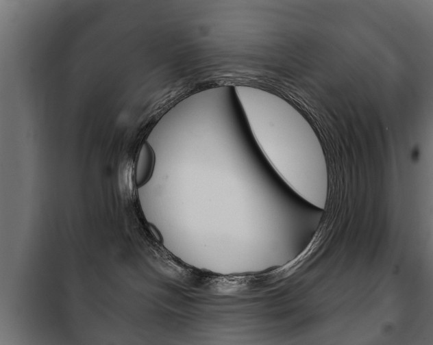 X0000102460094200808080955