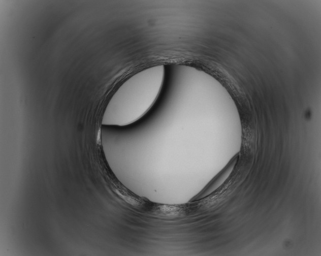 X0000102460095200808080955