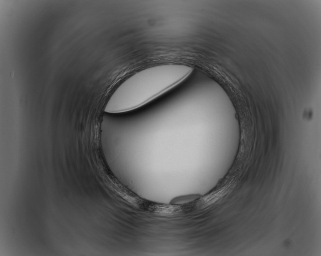X0000102460096200808080955