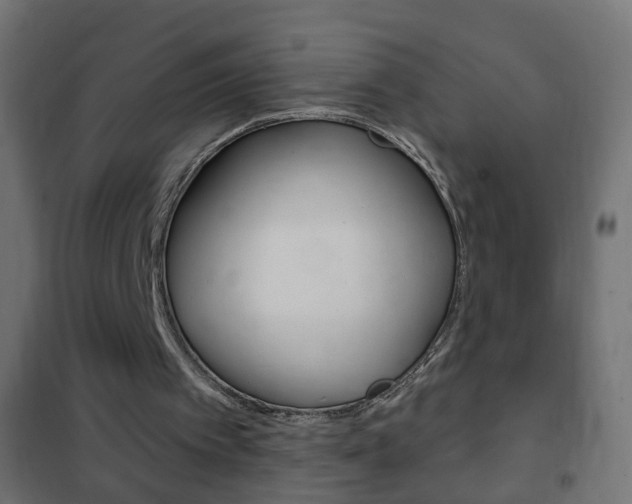 X0000102460097200808080955