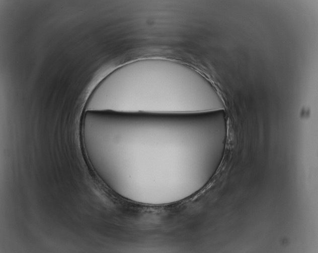 X0000102460099200808080955