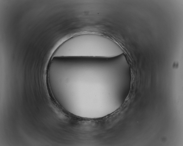 X0000102460100200808080954