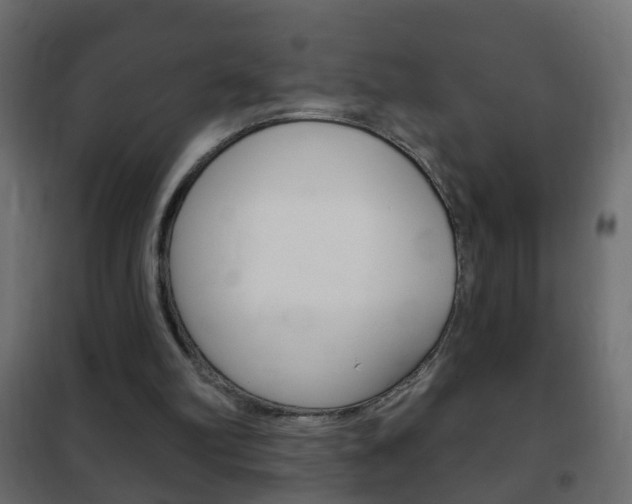 X0000102460102200808080954
