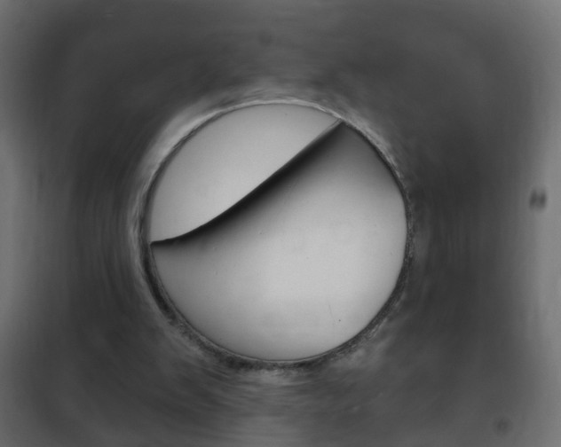 X0000102460103200808080954