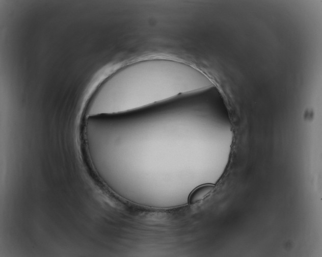 X0000102460104200808080954