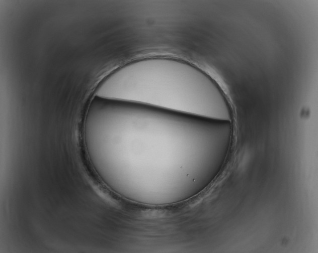 X0000102460105200808080954