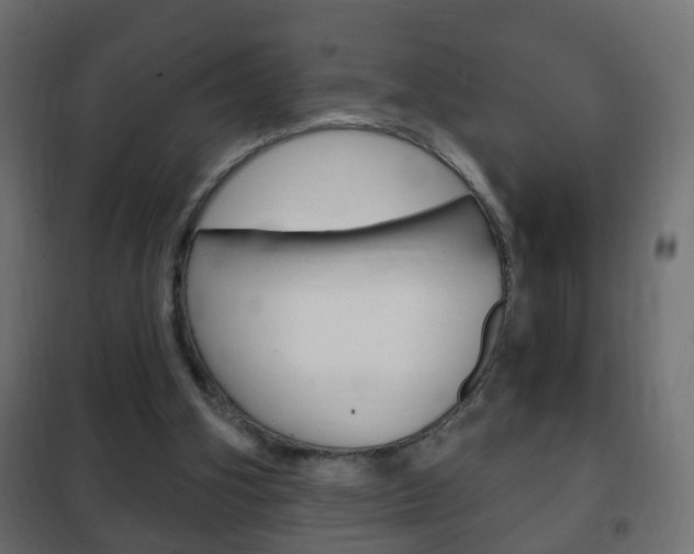 X0000102460106200808080954