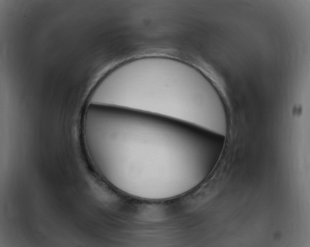 X0000102460107200808080954