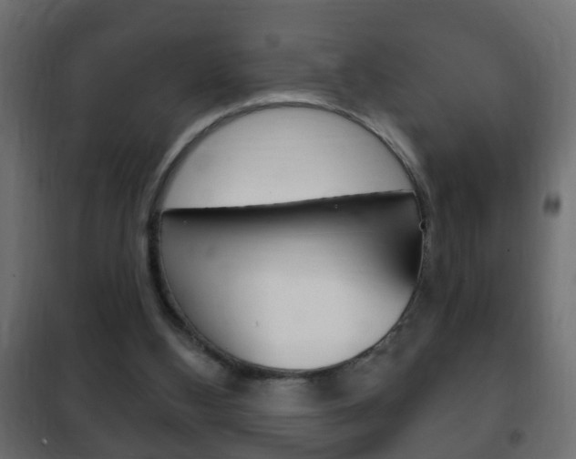 X0000102460108200808080954