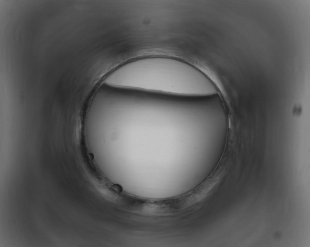 X0000102460109200808080954