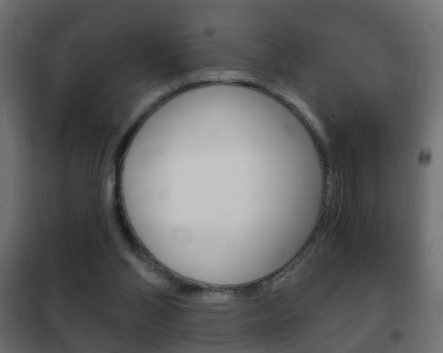 X0000102460110200808080954