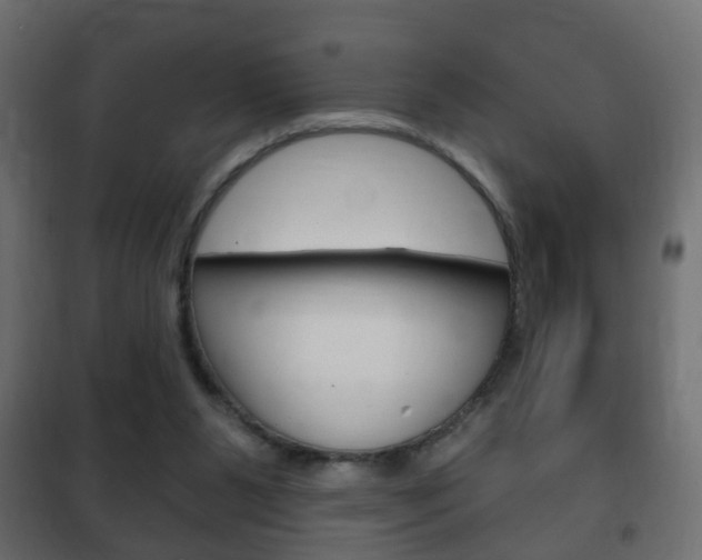 X0000102460111200808080954