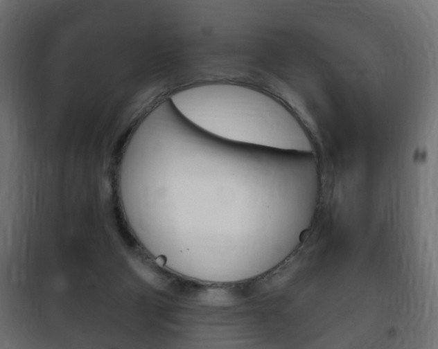 X0000102460114200808080954