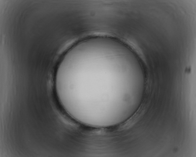 X0000102460116200808080954
