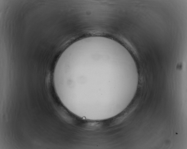 X0000102460117200808080954