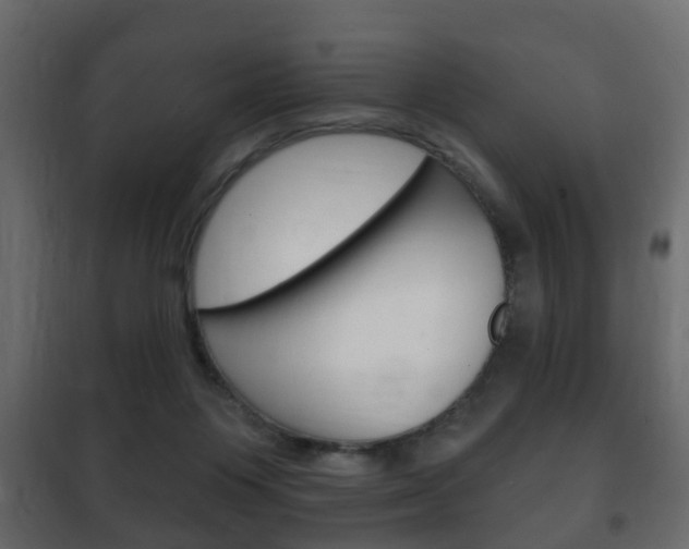 X0000102460119200808080954