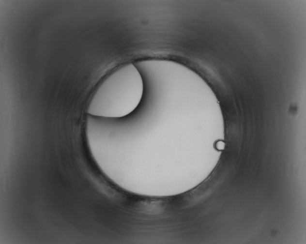X0000102460120200808080954