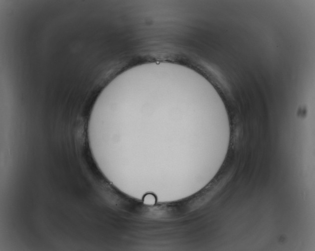 X0000102460121200808080954