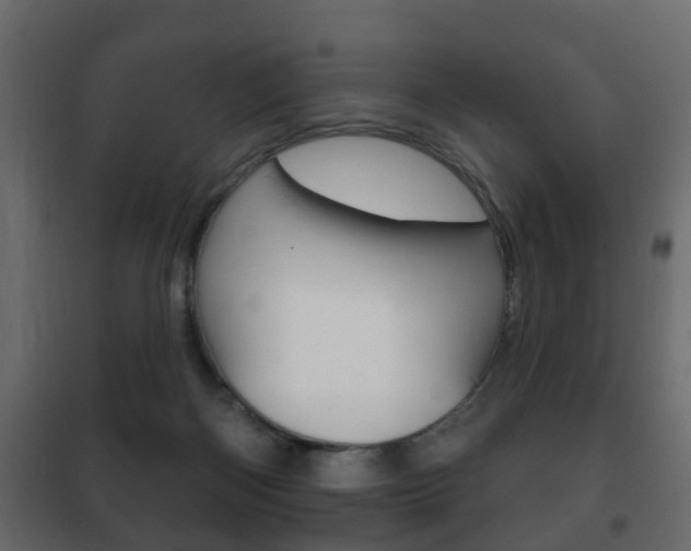 X0000102460122200808080954