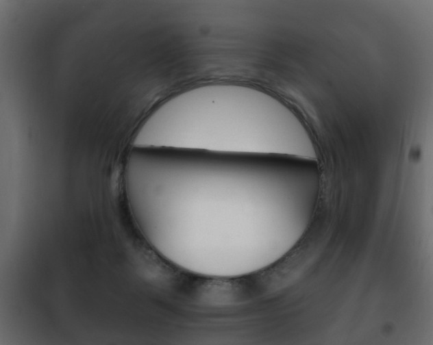 X0000102460123200808080954