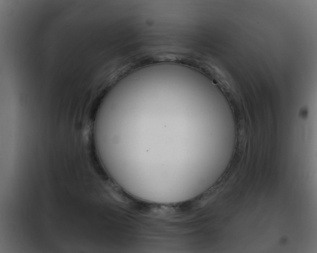 X0000102460125200808080954