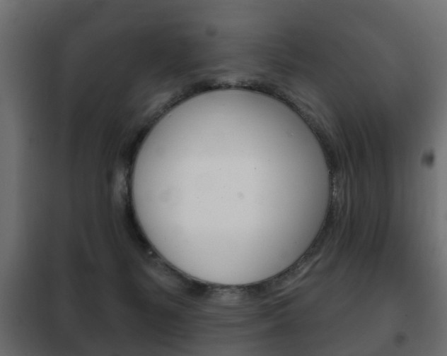 X0000102460127200808080954
