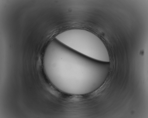 X0000102460128200808080954
