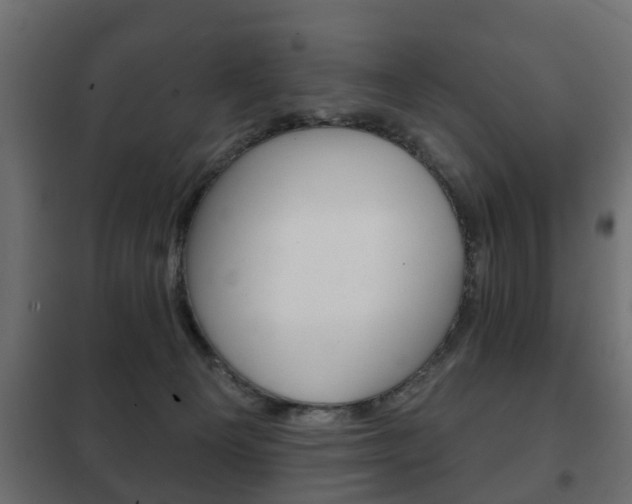 X0000102460129200808080954