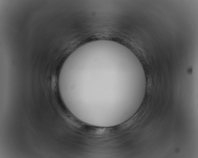 X0000102460130200808080954