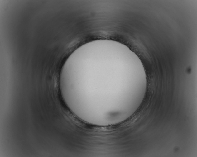 X0000102460131200808080954